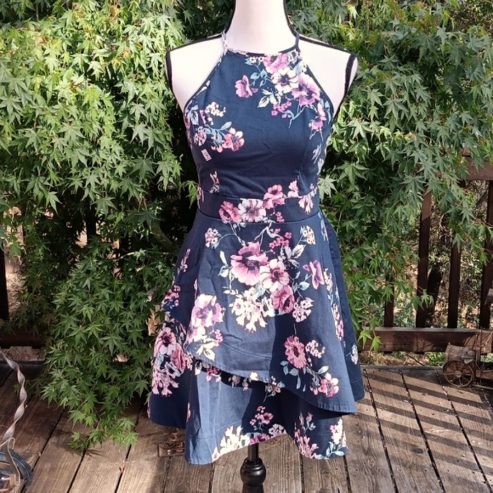 Speechless Floral Sundress